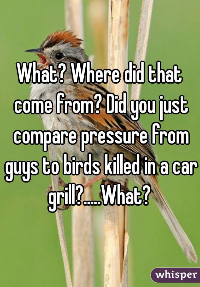 What? Where did that come from? Did you just compare pressure from guys to birds killed in a car grill?.....What? 