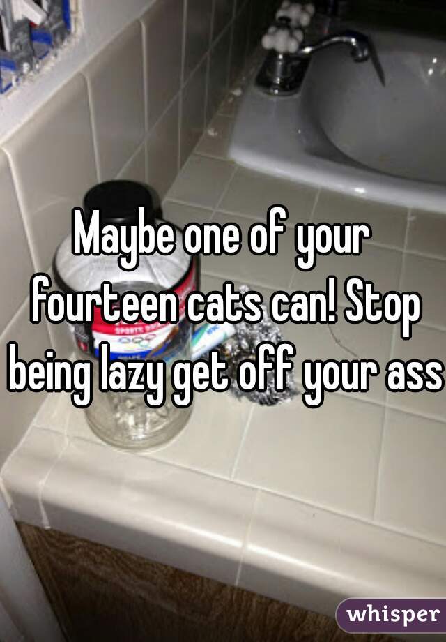 Maybe one of your fourteen cats can! Stop being lazy get off your ass