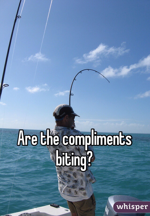 Are the compliments biting?