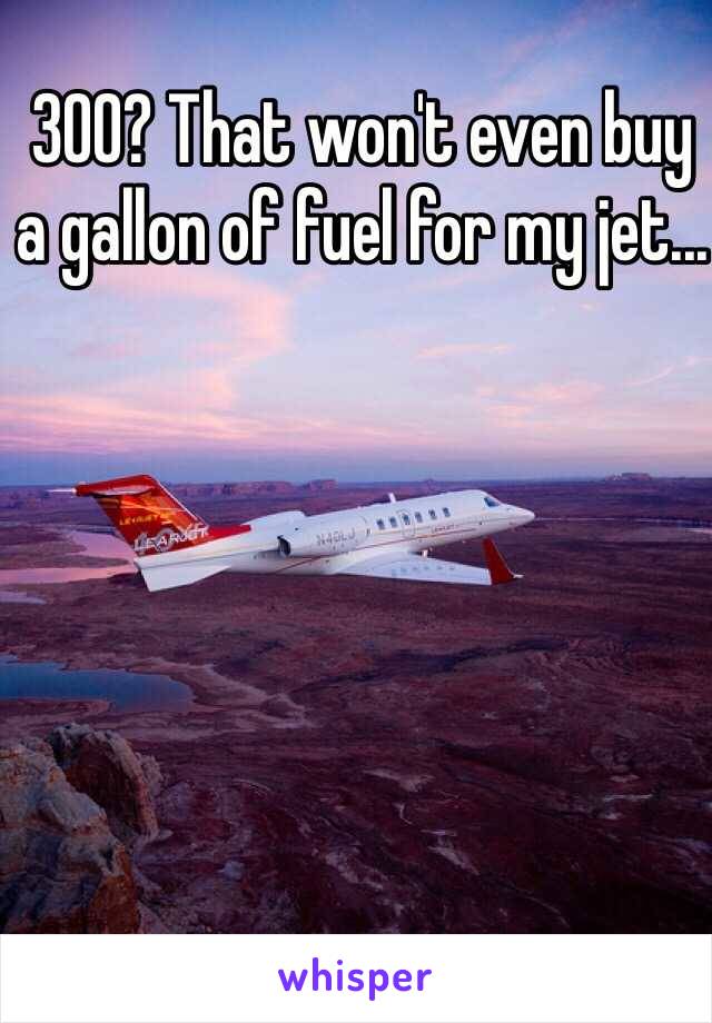 300? That won't even buy a gallon of fuel for my jet...


