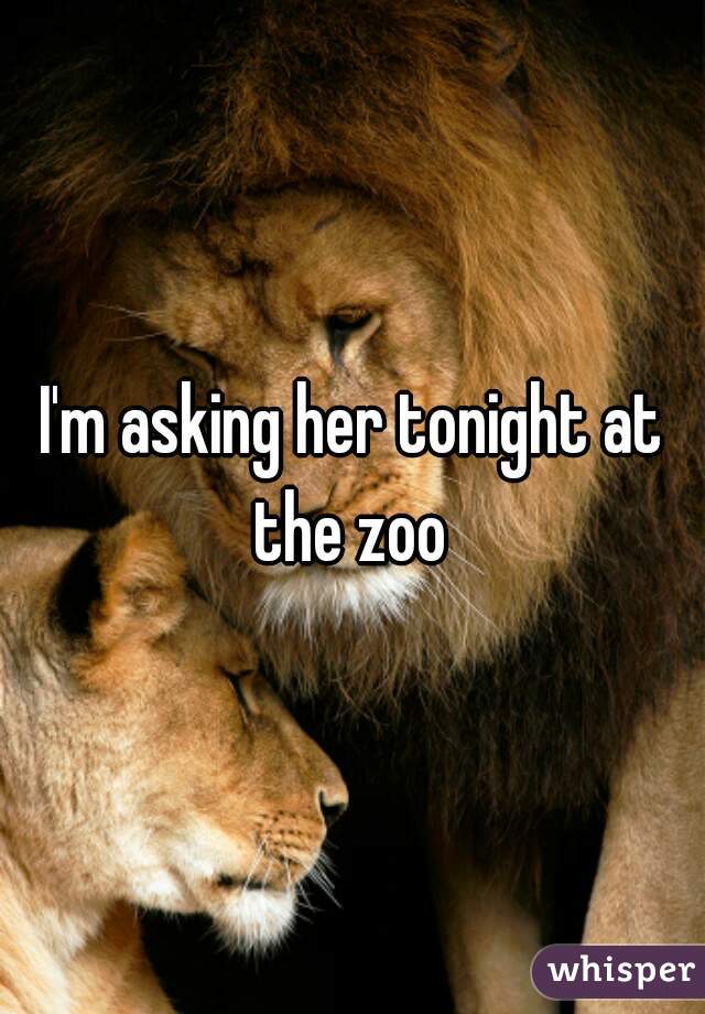 I'm asking her tonight at the zoo 