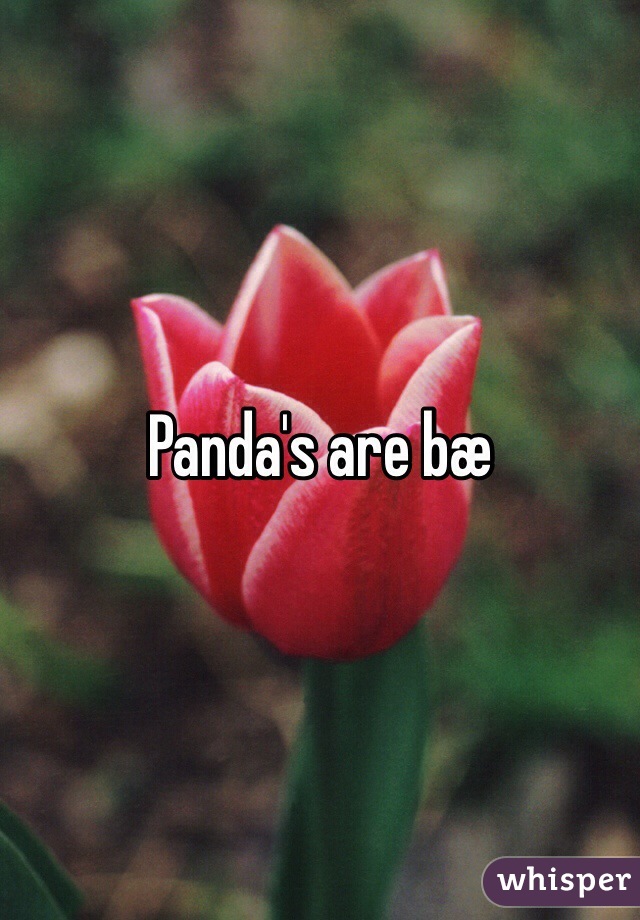 Panda's are bæ