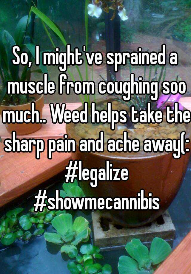 so-i-might-ve-sprained-a-muscle-from-coughing-soo-much-weed-helps