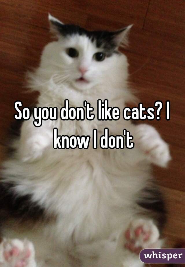 So you don't like cats? I know I don't