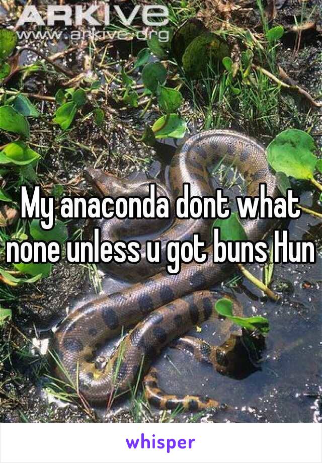 My anaconda dont what none unless u got buns Hun 