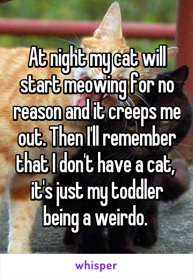 At night my cat will start meowing for no reason and it creeps me out. Then I'll remember that I don't have a cat,  it's just my toddler being a weirdo. 
