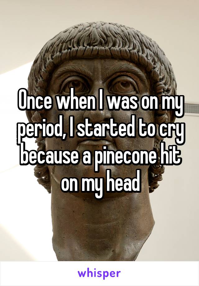 Once when I was on my period, I started to cry because a pinecone hit on my head