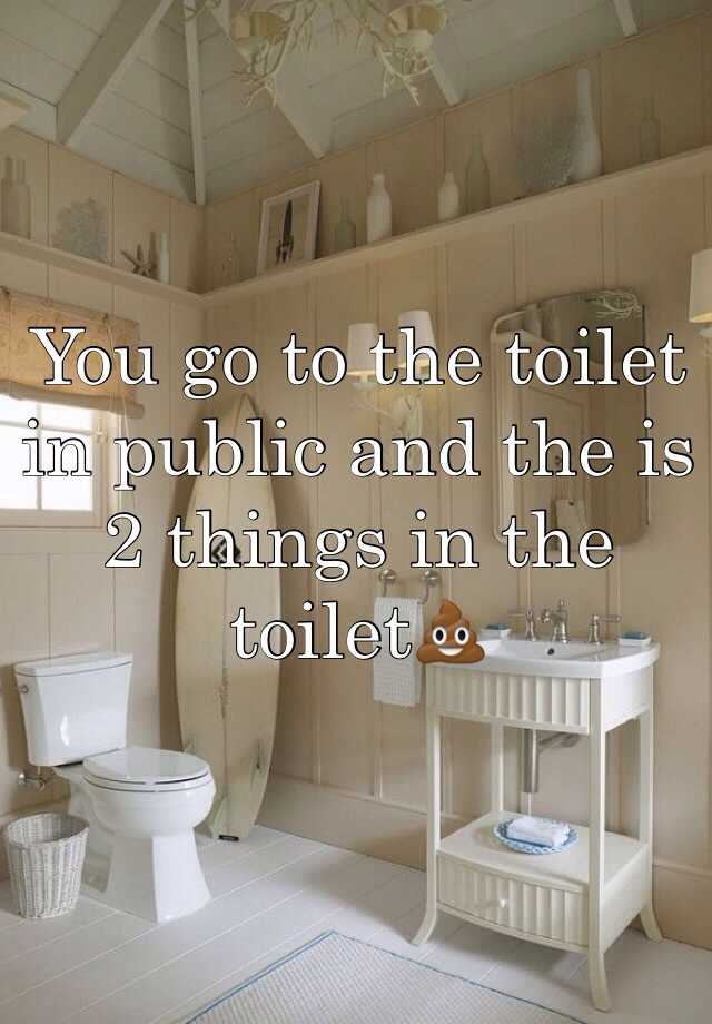 you-go-to-the-toilet-in-public-and-the-is-2-things-in-the-toilet