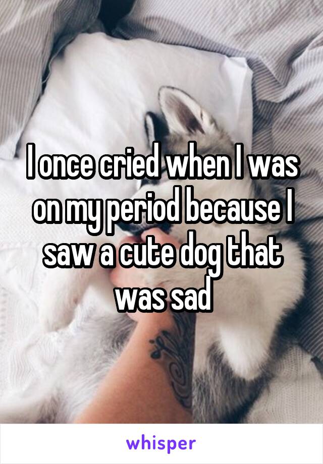 I once cried when I was on my period because I saw a cute dog that was sad