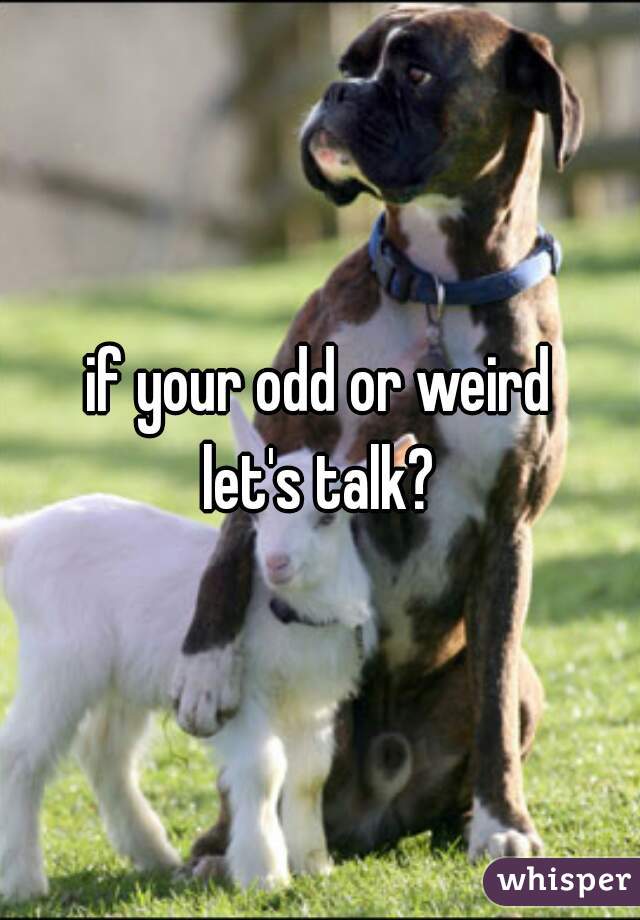 if your odd or weird
let's talk?
