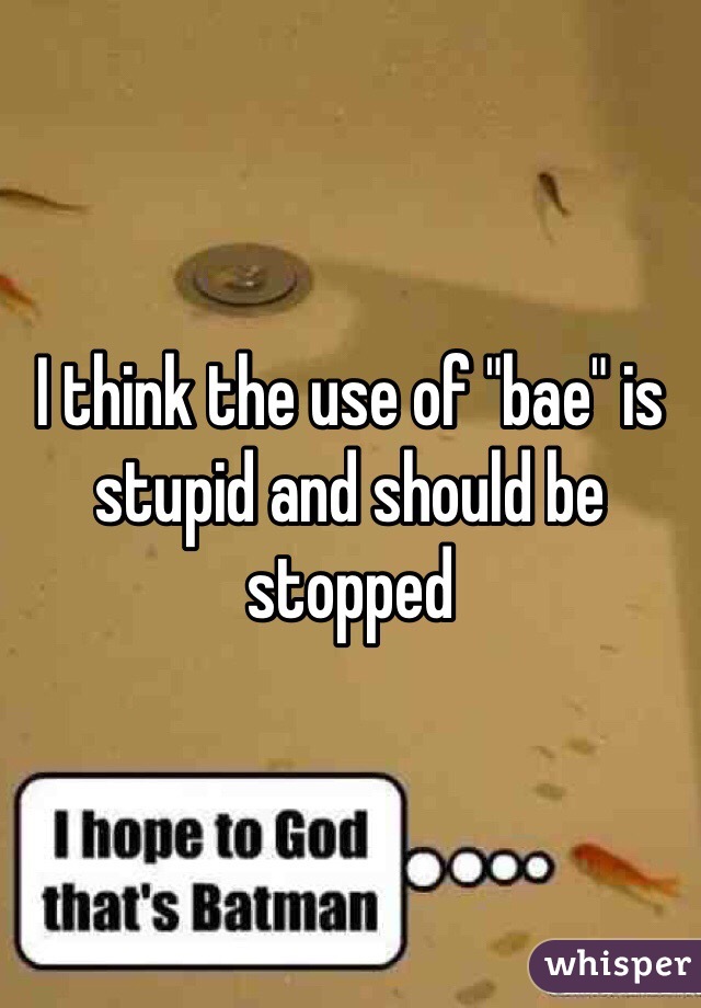 I think the use of "bae" is stupid and should be stopped