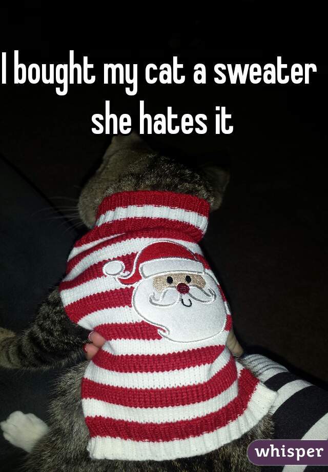 I bought my cat a sweater she hates it