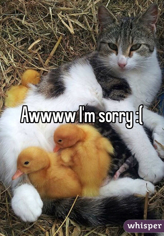 Awwww I'm sorry :(