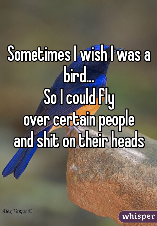 Sometimes I wish I was a bird...
So I could fly 
over certain people 
and shit on their heads 

