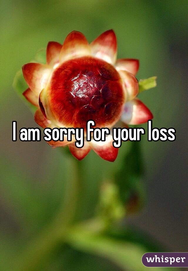 I am sorry for your loss 