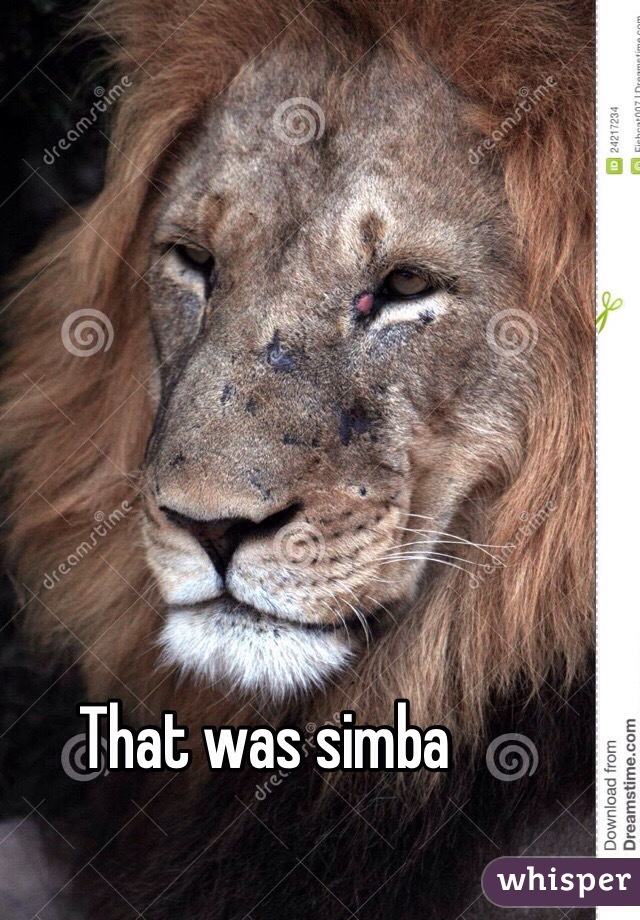 That was simba