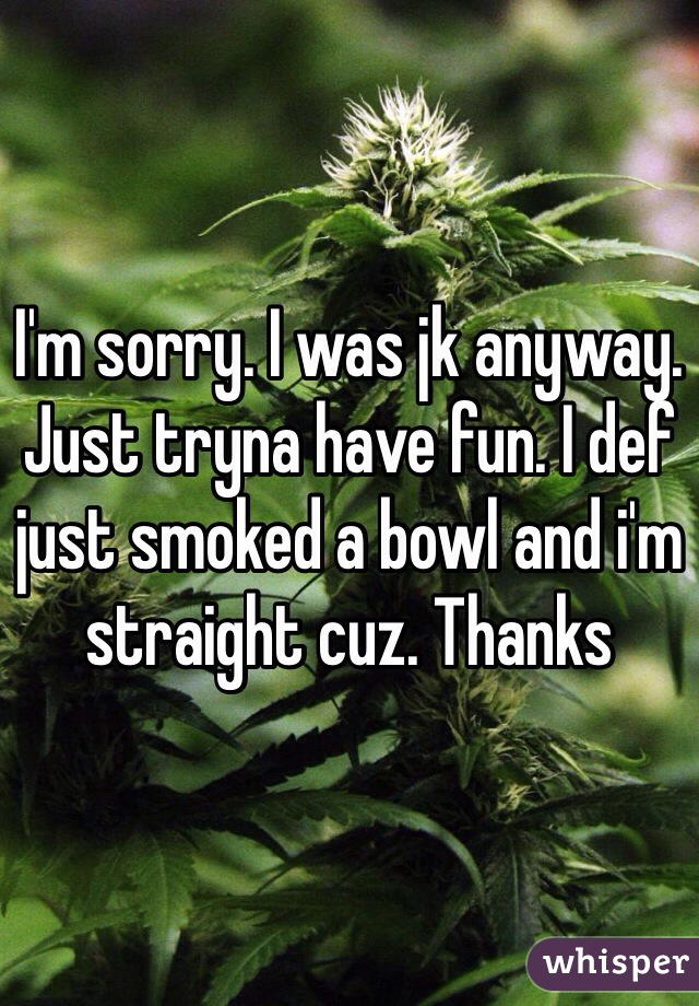 I'm sorry. I was jk anyway. Just tryna have fun. I def just smoked a bowl and i'm straight cuz. Thanks