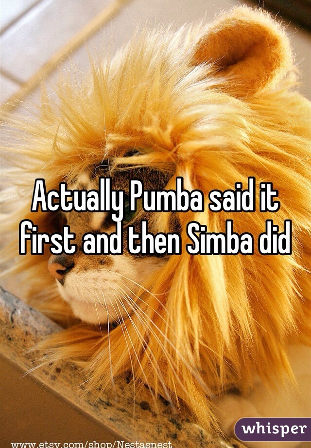 Actually Pumba said it first and then Simba did