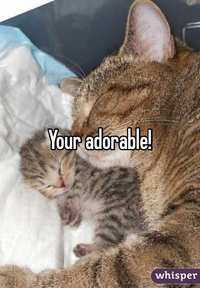 Your adorable!