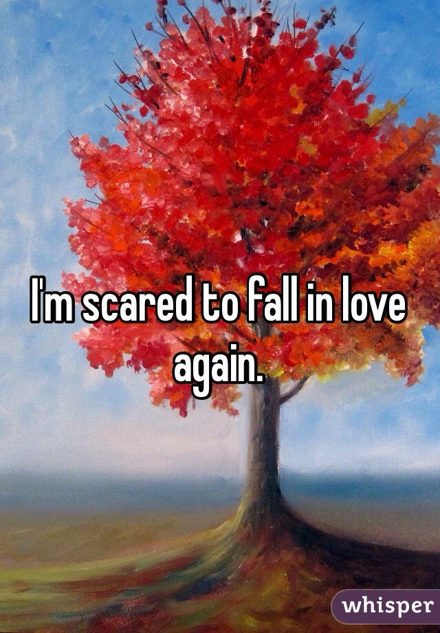 I'm scared to fall in love again. 