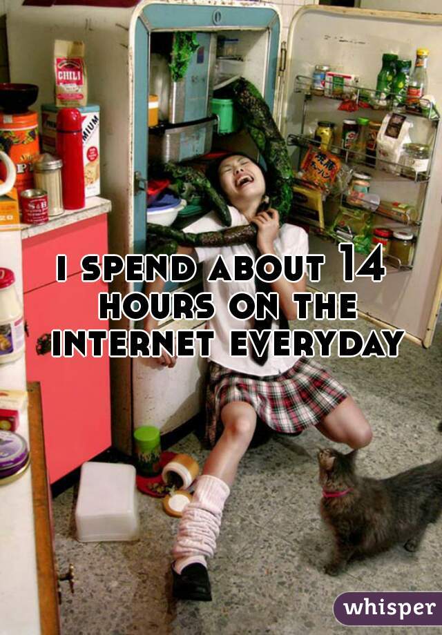 i spend about 14 hours on the internet everyday