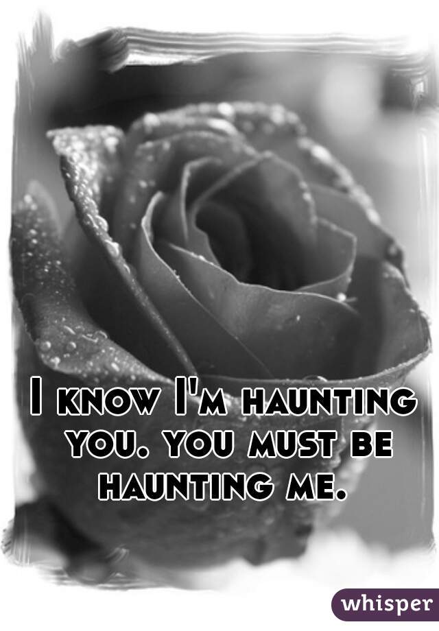 I know I'm haunting you. you must be haunting me. 