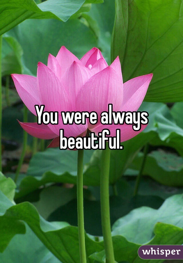 You were always beautiful. 