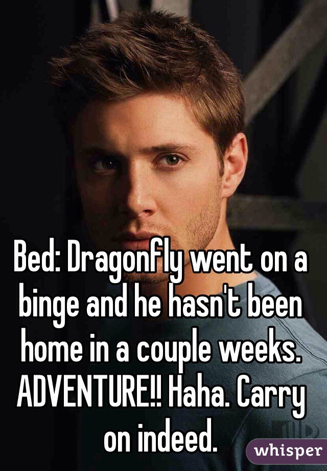 Bed: Dragonfly went on a binge and he hasn't been home in a couple weeks. 
ADVENTURE!! Haha. Carry on indeed. 