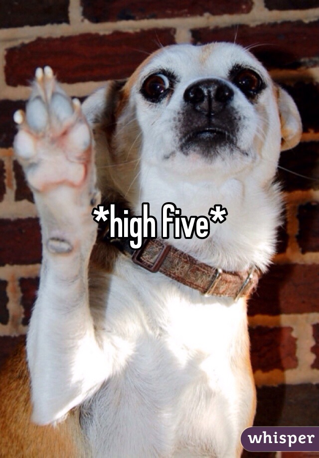 *high five*