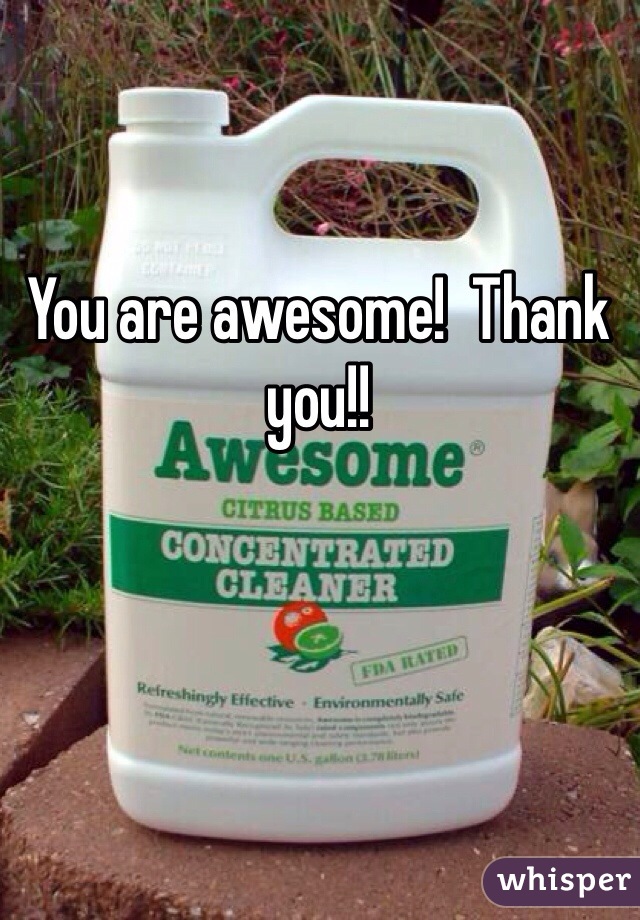 You are awesome!  Thank you!!