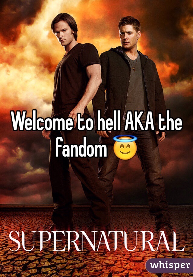 Welcome to hell AKA the fandom 😇