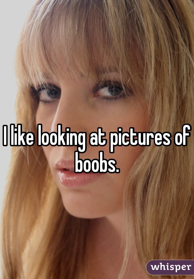 I like looking at pictures of boobs.