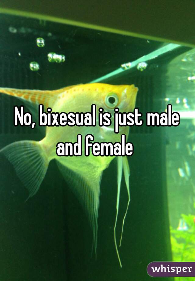 No, bixesual is just male and female  