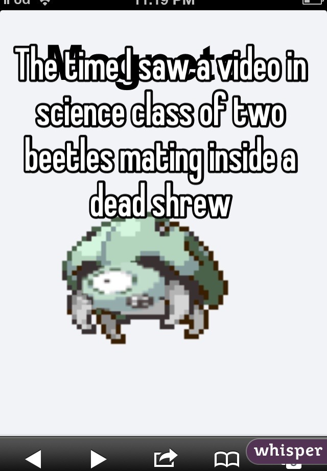 The time I saw a video in science class of two beetles mating inside a dead shrew