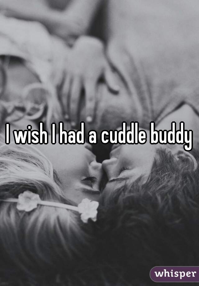 I wish I had a cuddle buddy