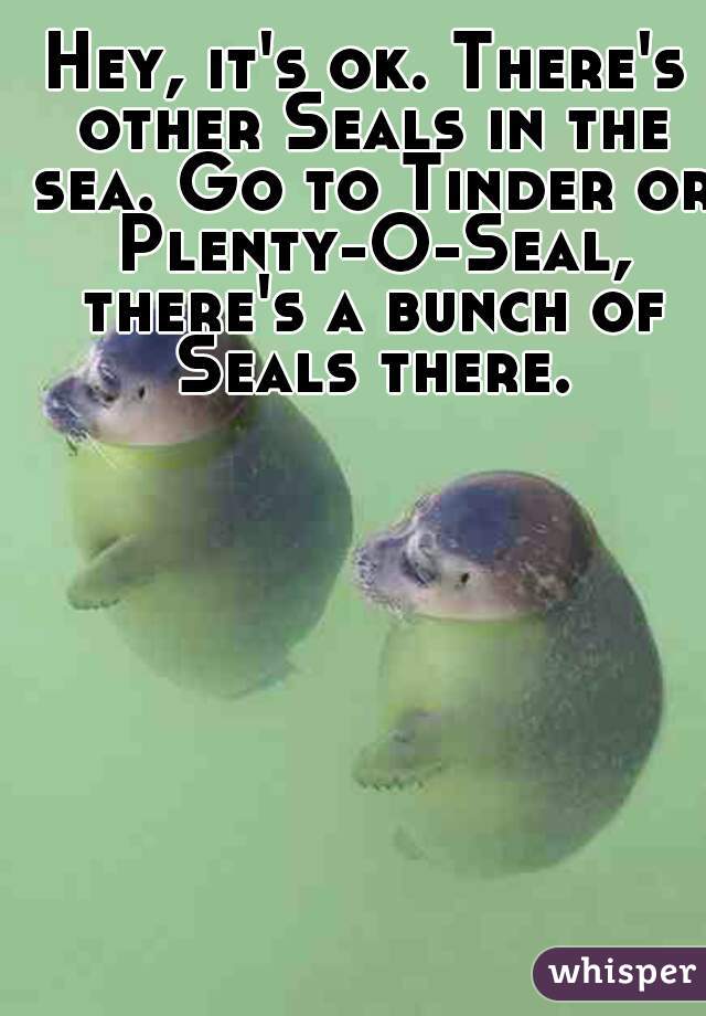 Hey, it's ok. There's other Seals in the sea. Go to Tinder or Plenty-O-Seal, there's a bunch of Seals there.