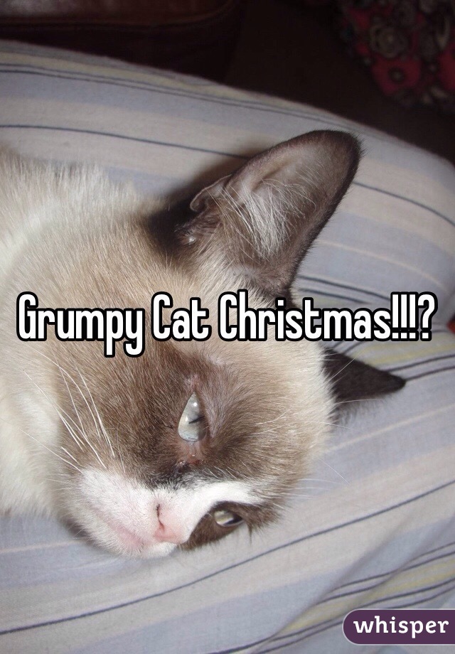 Grumpy Cat Christmas!!!?
