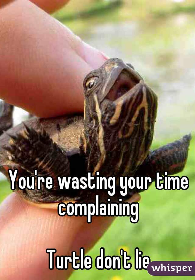 You're wasting your time complaining 

Turtle don't lie