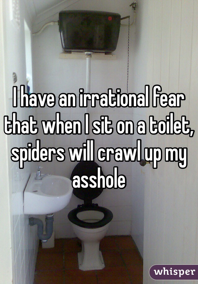 I have an irrational fear that when I sit on a toilet, spiders will crawl up my asshole