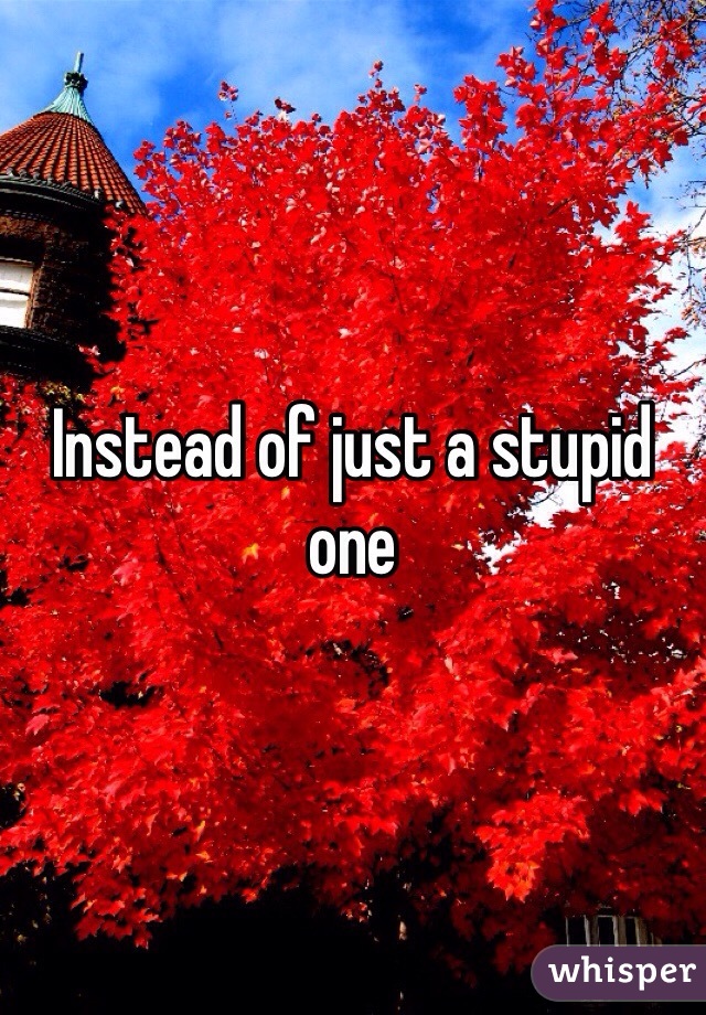 Instead of just a stupid one