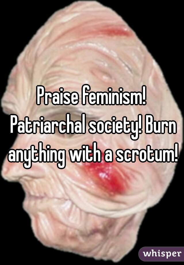 Praise feminism! Patriarchal society! Burn anything with a scrotum!