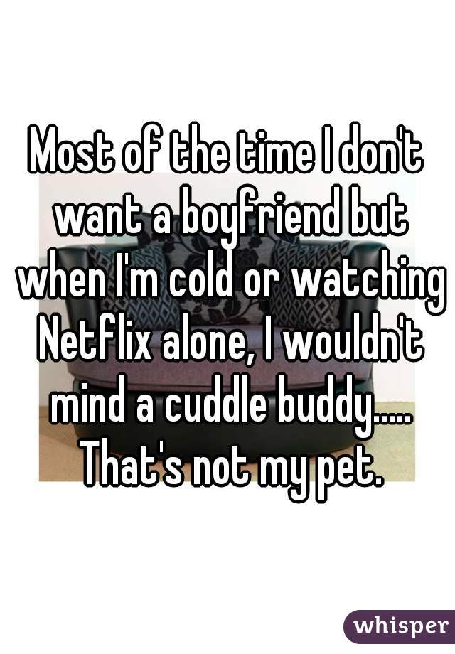 Most of the time I don't want a boyfriend but when I'm cold or watching Netflix alone, I wouldn't mind a cuddle buddy..... That's not my pet.