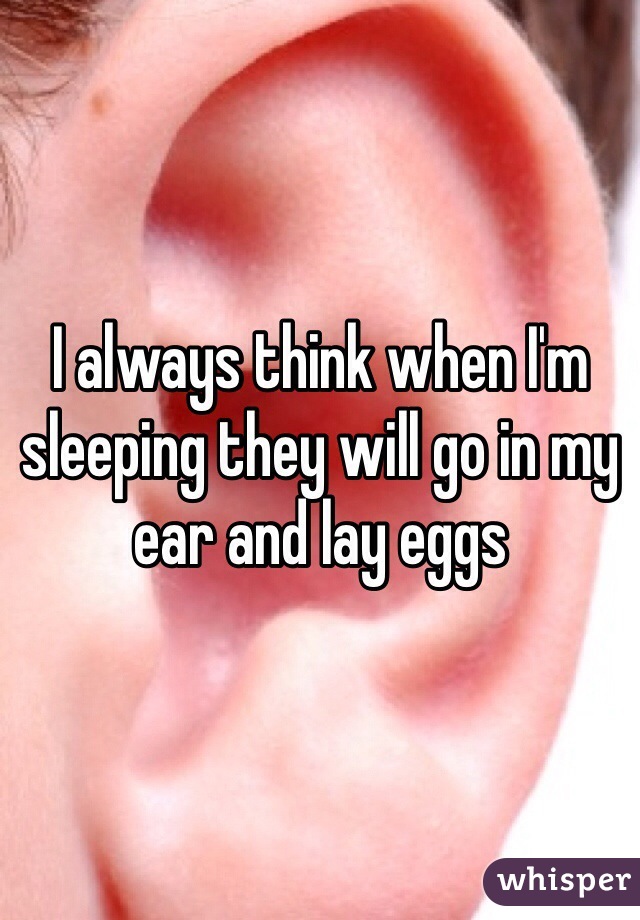 I always think when I'm sleeping they will go in my ear and lay eggs