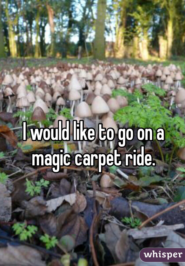 I would like to go on a magic carpet ride.