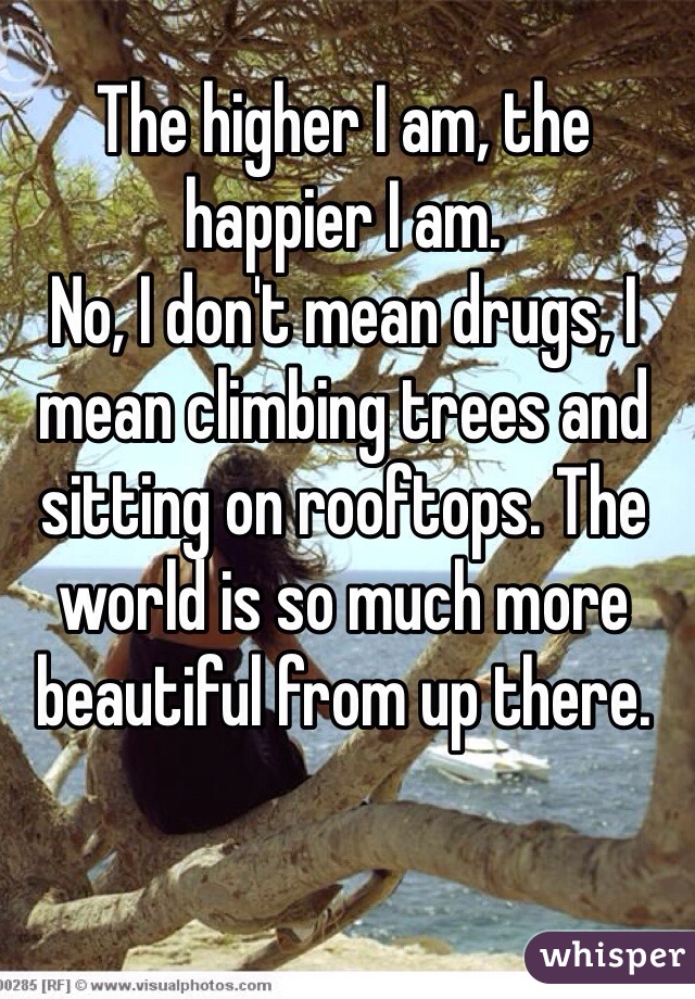 The higher I am, the happier I am. 
No, I don't mean drugs, I mean climbing trees and sitting on rooftops. The world is so much more beautiful from up there. 