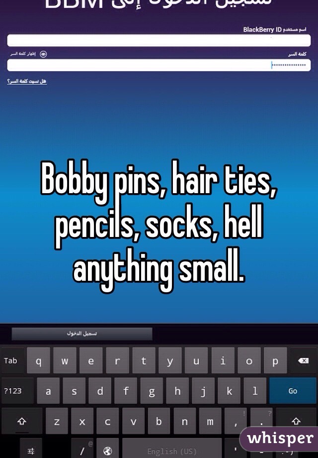 Bobby pins, hair ties, pencils, socks, hell anything small.