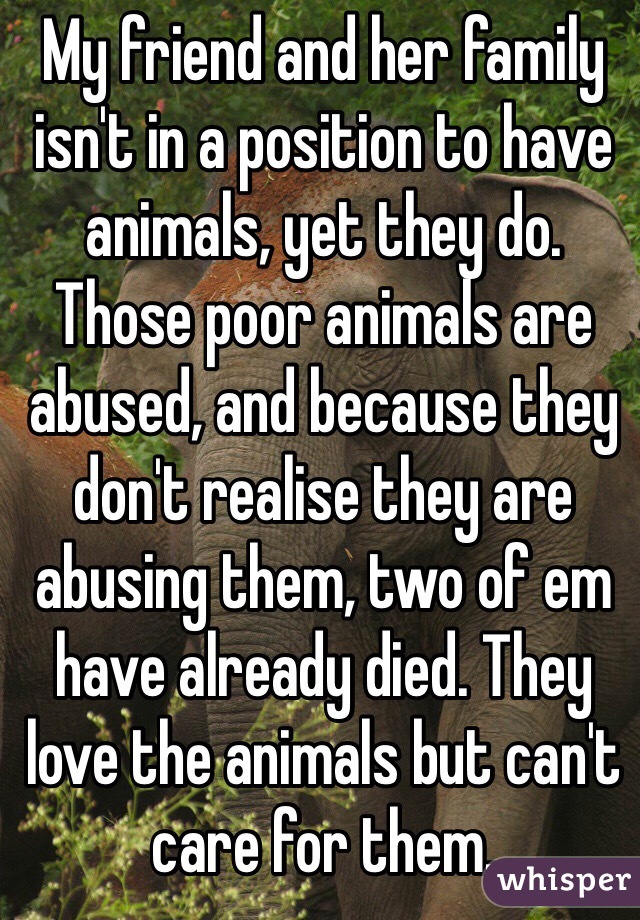 My friend and her family isn't in a position to have animals, yet they do. Those poor animals are abused, and because they don't realise they are abusing them, two of em have already died. They love the animals but can't care for them.