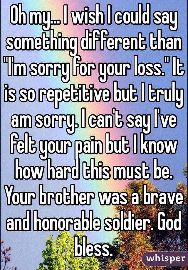 Oh my... I wish I could say something different than "I'm sorry for your loss." It is so repetitive but I truly am sorry. I can't say I've felt your pain but I know how hard this must be. Your brother was a brave and honorable soldier. God bless.