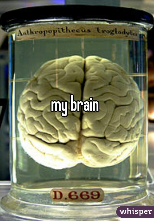 my brain 