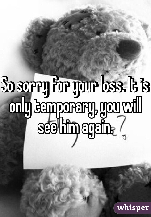 So sorry for your loss. It is only temporary, you will see him again. 